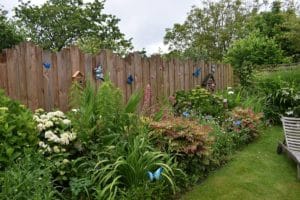 JARDINFLEURIS2024 1