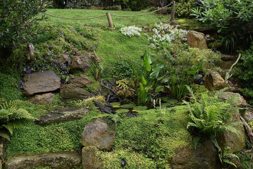 JARDINFLEURIS2024 2
