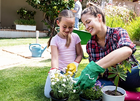 Votre jardin