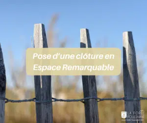 Consultation du public