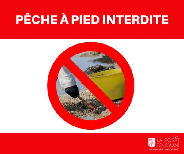 Le site de Kerleven interdit à la pêche à pied