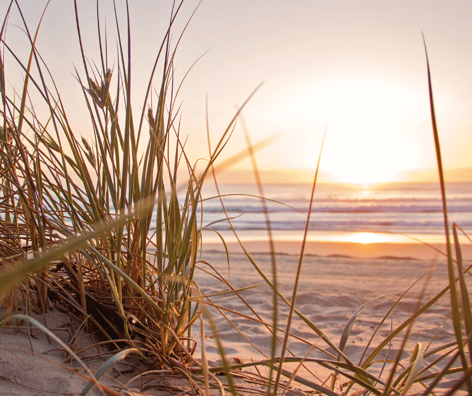 Qualité des eaux de baignade à Kerleven – Actions en cours pour identifier et résoudre les pollutions